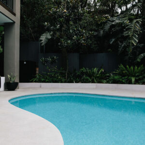 Kidney Shaped Pool Renovations