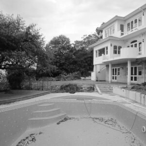 kidney pool before