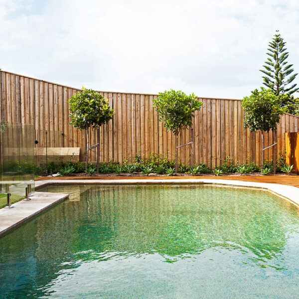 Pool & Landscaping Design Ideas