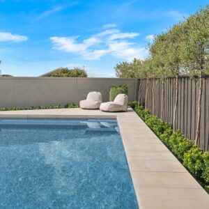 pleached olive trees