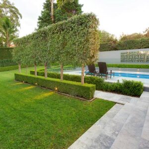 traditional planting