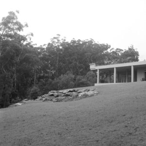 Before Backyard Garden Design