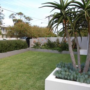 front garden