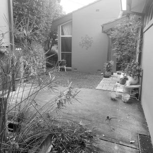 Front yard before residential landscape design