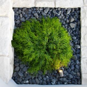 Modern Beach Side Retreat garden bed