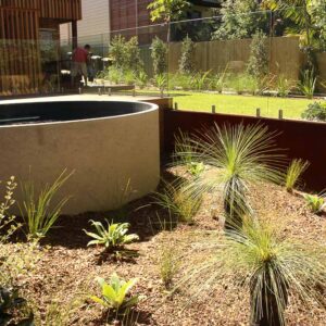 grass tree