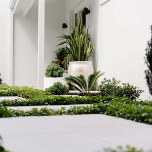 Large steppers for backyard gardening ideas