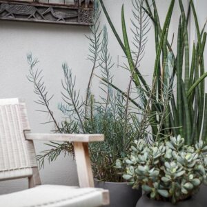 Modern Beach Side Retreat pot cluster