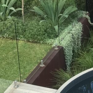 silver fall plants
