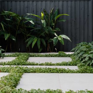 Steppers in ground covers for backyard garden landscape ideas