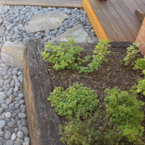 vege garden