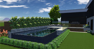 Infinity Pool with Tropical Garden