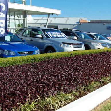 DSC 5830 - Landscape Design, Landscape Architect, Garden Design | Space Designs, Sydney NSW