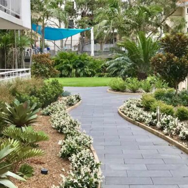 FullSizeRender5 - Landscape Design, Landscape Architect, Garden Design | Space Designs, Sydney NSW