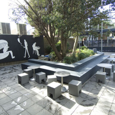 University 025 - Landscape Design, Landscape Architect, Garden Design | Space Designs, Sydney NSW