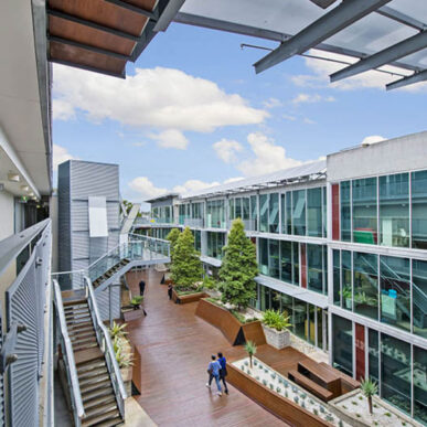 comercial landscape design - Landscape Design, Landscape Architect, Garden Design | Space Designs, Sydney NSW