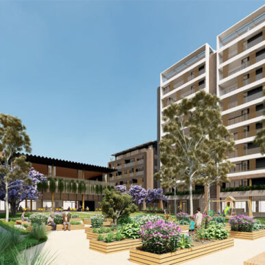 community garden - Landscape Design, Landscape Architect, Garden Design | Space Designs, Sydney NSW