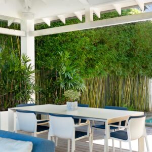 outdoor dining and bbq