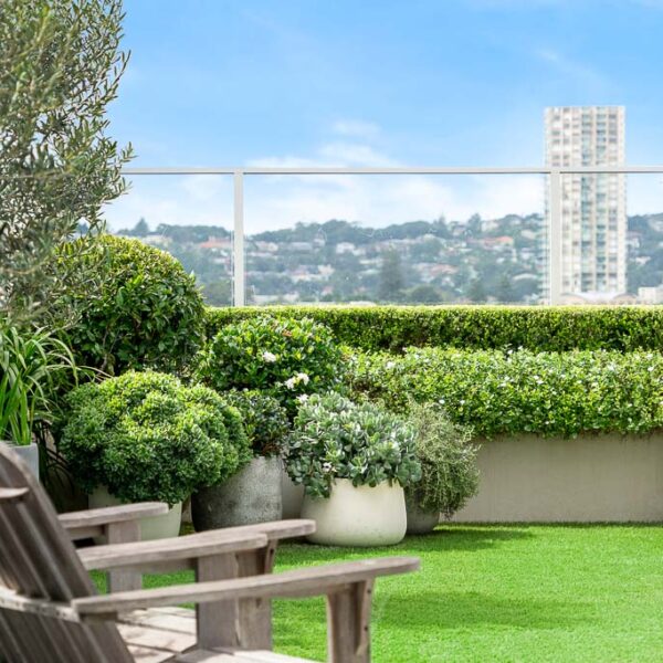 Penthouse Landscape Design - Sydney NSW - Eco Luxury Penthouse Landscape Design Elements