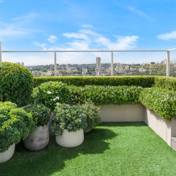 Image showcasing Penthouse Landscape Design - Sydney NSW