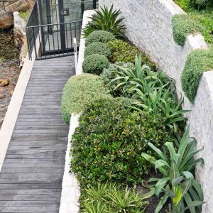 Low-maintenance plants in a garden setting