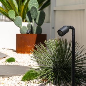 Garden light illuminating pathway
