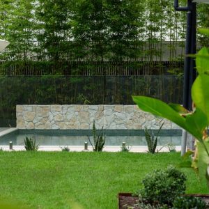 level lawn area