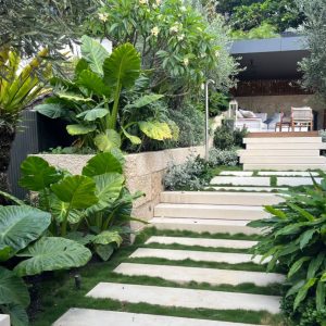 tropical planting